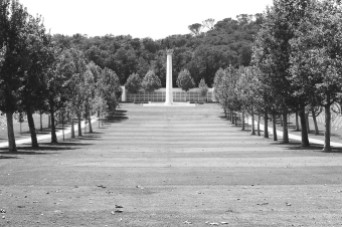 Florence American Cemetery and Memorial, Italy. Camera: Pentax K1000 (1976 - 1997). Film: Ilford Delta 100 Professional.
